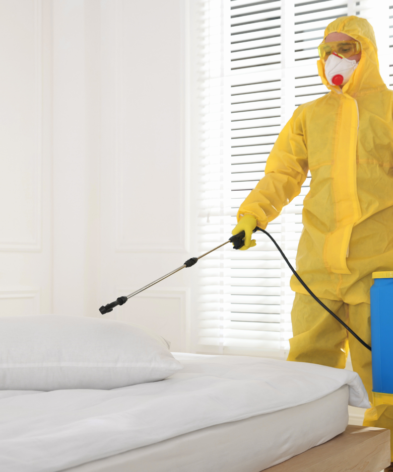 Professional Pest Control Team in Heathpool